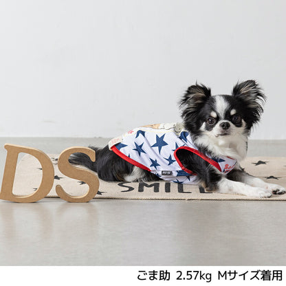 ディーズ君ソフトタンク XS/S/M/L/XL/XXL/DXS/DS/DM/DL/FBS/FBM/FBL D's Chat-ディーズチャット- 犬服 小型犬 ドッグウェア DS25SS ds251260