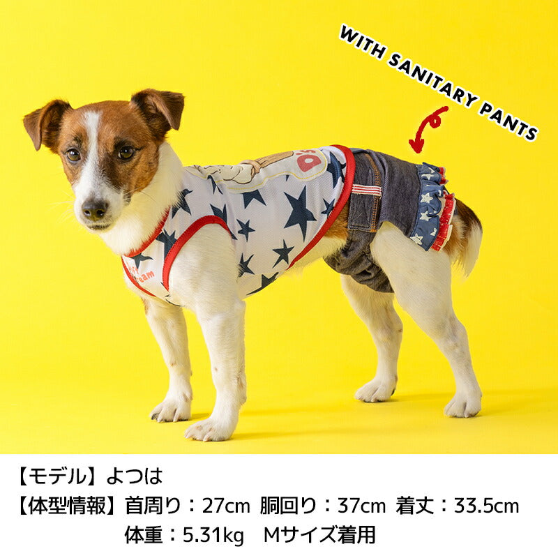 ディーズ君ソフトタンク XS/S/M/L/XL/XXL/DXS/DS/DM/DL/FBS/FBM/FBL D's Chat-ディーズチャット- 犬服 小型犬 ドッグウェア DS25SS ds251260