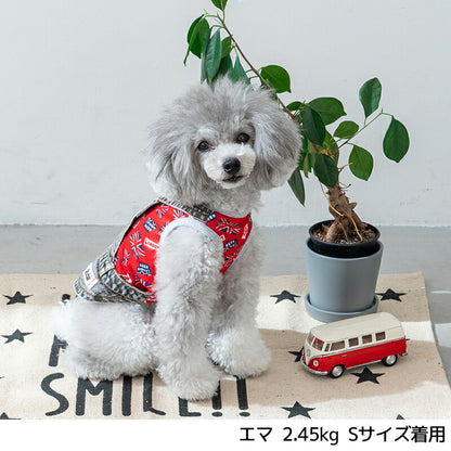 国旗柄レイヤードタンク XS/S/M/L/XL/XXL/DXS/DS/DM/DL/FBS/FBM/FBL D's Chat-ディーズチャット- 犬服 小型犬 ドッグウェア DS25SS ds251261