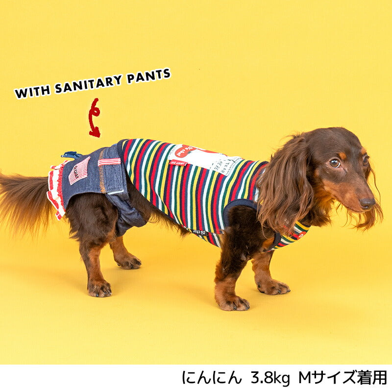 ケチャップ柄ボーダータンク XS/S/M/L/XL/XXL/DXS/DS/DM/DL/FBS/FBM/FBL D's Chat-ディーズチャット- 犬服 小型犬 ドッグウェア DS25SS ds251262