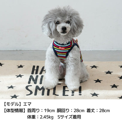 ケチャップ柄ボーダータンク XS/S/M/L/XL/XXL/DXS/DS/DM/DL/FBS/FBM/FBL D's Chat-ディーズチャット- 犬服 小型犬 ドッグウェア DS25SS ds251262