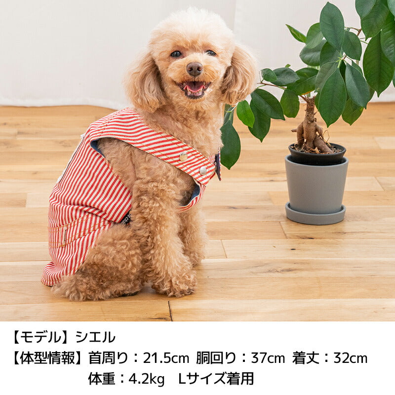 ストライプバーガータンク XS/S/M/L/XL/XXL D's Chat-ディーズチャット- 犬服 小型犬 ドッグウェア DS25SS ds251263