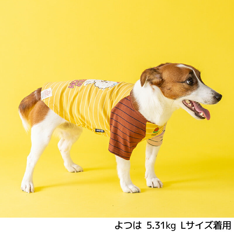 ディーズ君配色Tシャツ XS/S/M/L/XL/XXL/DXS/DS/DM D's Chat-ディーズチャット- 犬服 小型犬 ドッグウェア DS25SS ds251268