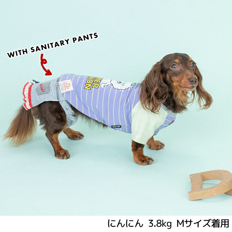 ディーズ君配色Tシャツ XS/S/M/L/XL/XXL/DXS/DS/DM D's Chat-ディーズチャット- 犬服 小型犬 ドッグウェア DS25SS ds251268