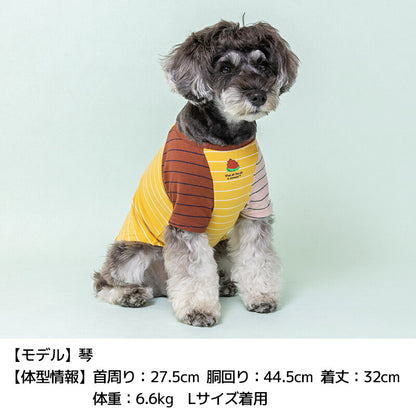 ディーズ君配色Tシャツ XS/S/M/L/XL/XXL/DXS/DS/DM D's Chat-ディーズチャット- 犬服 小型犬 ドッグウェア DS25SS ds251268