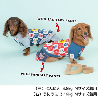 ラバーワッペンTシャツ XS/S/M/L/XL/XXL/DXS/DS/DM D's Chat-ディーズチャット- 犬服 小型犬 ドッグウェア DS25SS ds251269