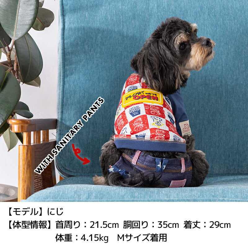 ラバーワッペンTシャツ XS/S/M/L/XL/XXL/DXS/DS/DM D's Chat-ディーズチャット- 犬服 小型犬 ドッグウェア DS25SS ds251269