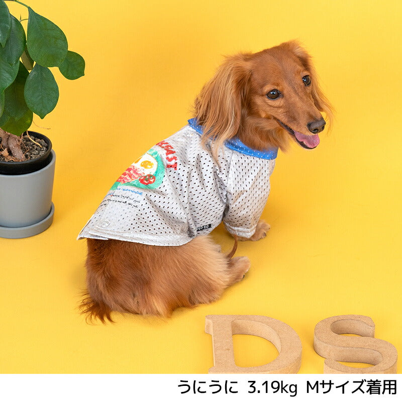 背開きメッシュシャツ XS/S/M/L/XL/XXL/DXS/DS/DM D's Chat-ディーズチャット- 犬服 小型犬 ドッグウェア DS25SS ds251270