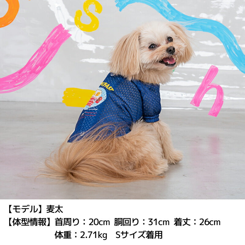 背開きメッシュシャツ XS/S/M/L/XL/XXL/DXS/DS/DM D's Chat-ディーズチャット- 犬服 小型犬 ドッグウェア DS25SS ds251270