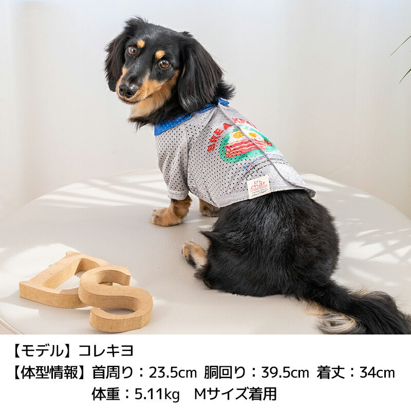 背開きメッシュシャツ XS/S/M/L/XL/XXL/DXS/DS/DM D's Chat-ディーズチャット- 犬服 小型犬 ドッグウェア DS25SS ds251270