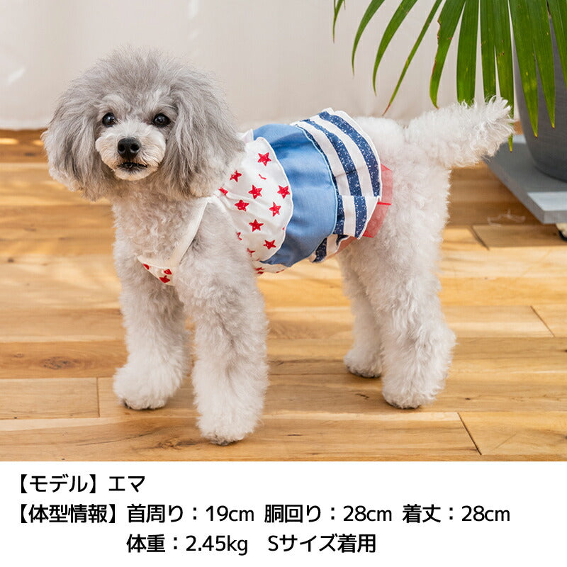 星柄キャミワンピ XS/S/M/L/XL D's Chat-ディーズチャット- 犬服 小型犬 ドッグウェア DS25SS ds251271