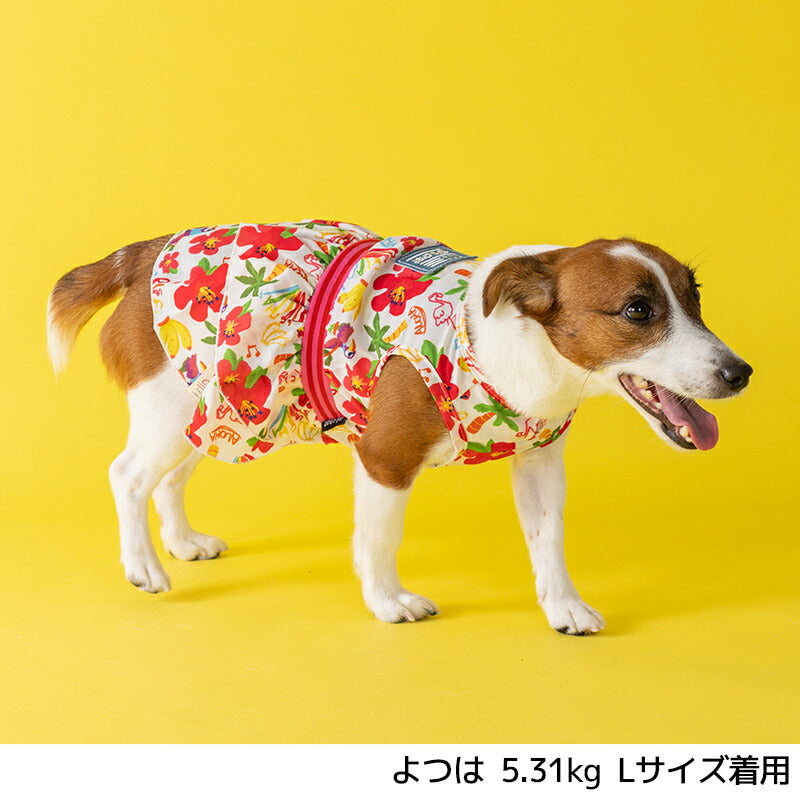 トロピカルシフォンワンピ XS/S/M/L/XL D's Chat-ディーズチャット- 犬服 小型犬 ドッグウェア DS25SS ds251272