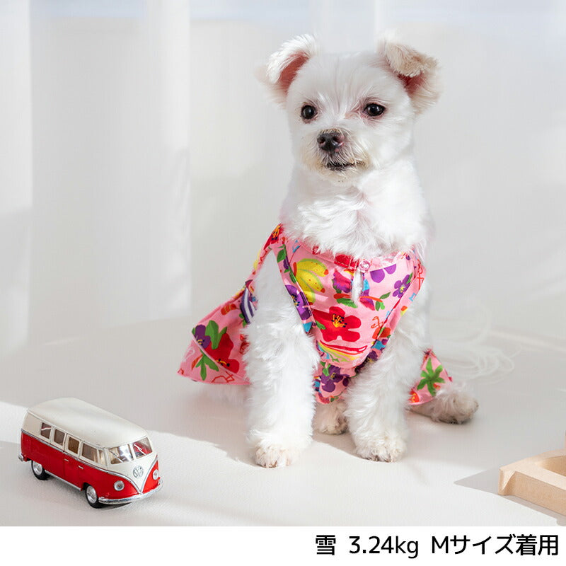 トロピカルシフォンワンピ XS/S/M/L/XL D's Chat-ディーズチャット- 犬服 小型犬 ドッグウェア DS25SS ds251272