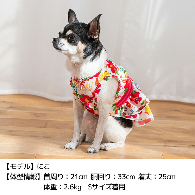 トロピカルシフォンワンピ XS/S/M/L/XL D's Chat-ディーズチャット- 犬服 小型犬 ドッグウェア DS25SS ds251272