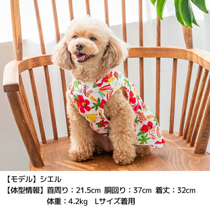 トロピカルシフォンワンピ XS/S/M/L/XL D's Chat-ディーズチャット- 犬服 小型犬 ドッグウェア DS25SS ds251272