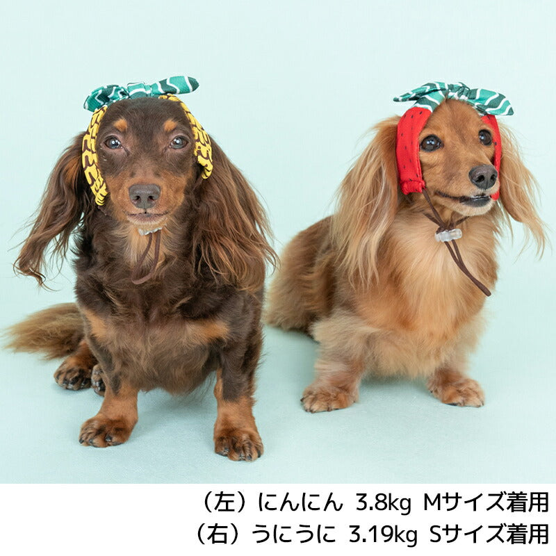 フルーツ柄クーリングバンド S/SM/M/L/XL D's Chat-ディーズチャット- 犬服 小型犬 ドッグウェア DS25SS ds252275