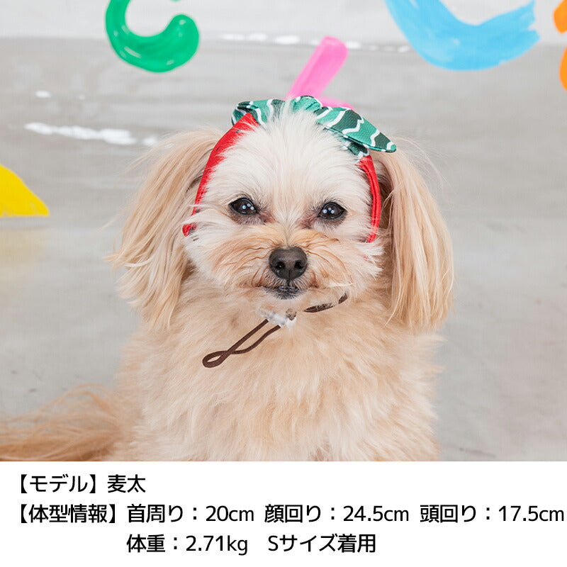 フルーツ柄クーリングバンド S/SM/M/L/XL D's Chat-ディーズチャット- 犬服 小型犬 ドッグウェア DS25SS ds252275