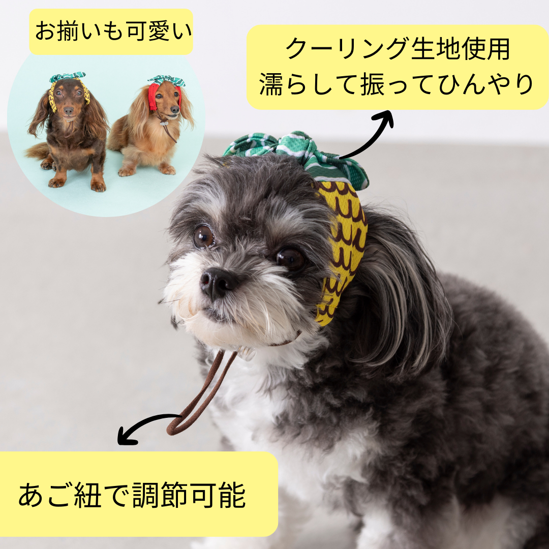 フルーツ柄クーリングバンド S/SM/M/L/XL D's Chat-ディーズチャット- 犬服 小型犬 ドッグウェア DS25SS ds252275