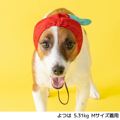 フルーツ柄クーリング帽子 S/SM/M/L/XL D's Chat-ディーズチャット- 犬服 小型犬 ドッグウェア DS25SS ds252276