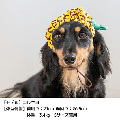 フルーツ柄クーリング帽子 S/SM/M/L/XL D's Chat-ディーズチャット- 犬服 小型犬 ドッグウェア DS25SS ds252276