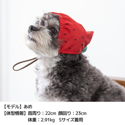 フルーツ柄クーリング帽子 S/SM/M/L/XL D's Chat-ディーズチャット- 犬服 小型犬 ドッグウェア DS25SS ds252276