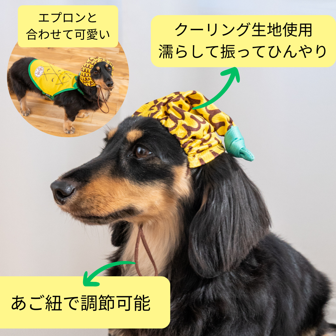 フルーツ柄クーリング帽子 S/SM/M/L/XL D's Chat-ディーズチャット- 犬服 小型犬 ドッグウェア DS25SS ds252276