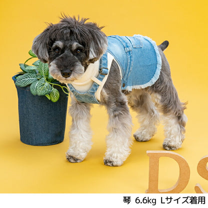 重ね着デニムジャンスカ XS/S/M/L/XL D's Chat-ディーズチャット- 犬服 小型犬 ドッグウェア DS25AW ds251282