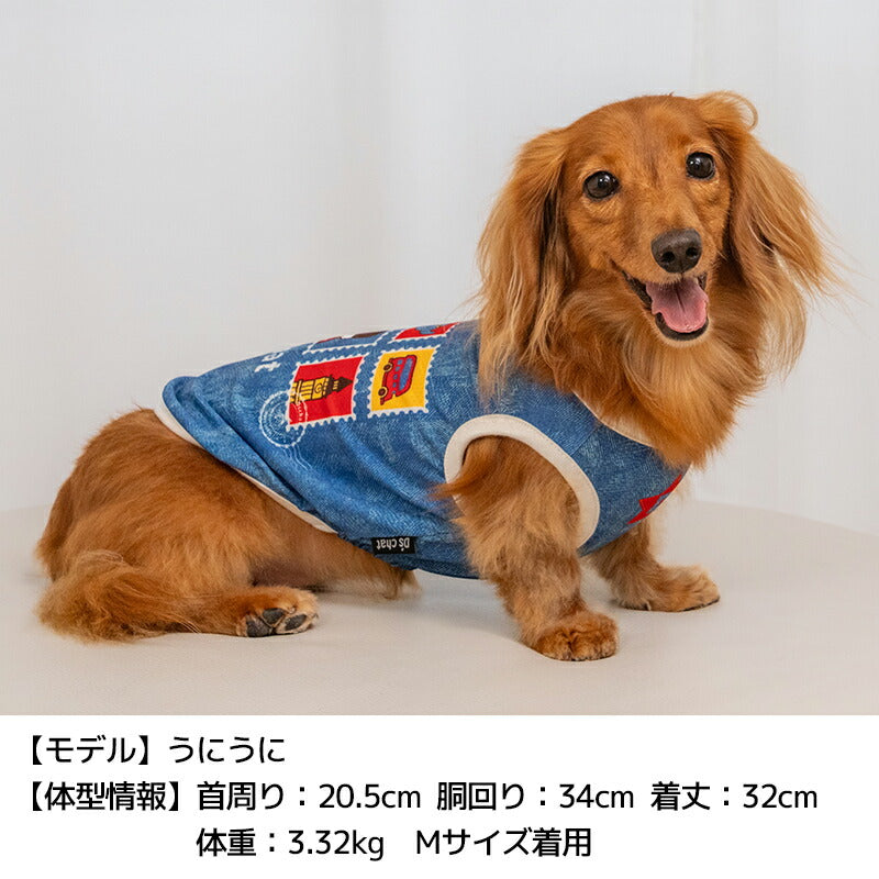 スタンプメッシュタンク XS/S/M/L/XL/XXL/DXS/DS/DM/DL/FBS/FBM/FBL D's Chat-ディーズチャット- 犬服 小型犬 ダックス フレブル ドッグウェア DS26SS ds261303