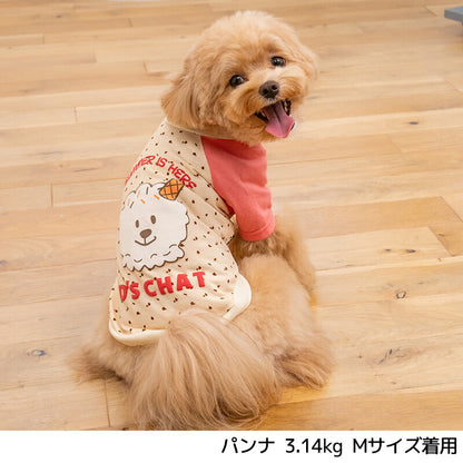 ディーズ君ラグランTシャツ XS/S/M/L/XL/XXL/DXS/DS/DM/DL/FBS/FBM/FBL D's Chat-ディーズチャット- 犬服 小型犬 ダックス フレブル ドッグウェア DS26SS ds261307