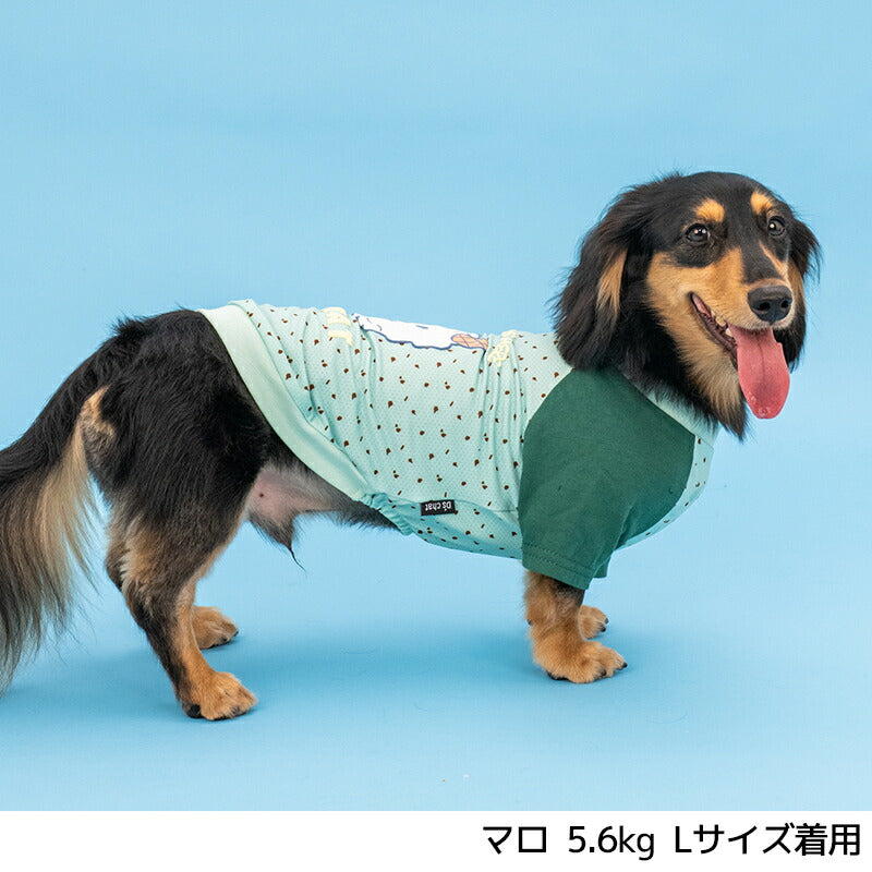ディーズ君ラグランTシャツ XS/S/M/L/XL/XXL/DXS/DS/DM/DL/FBS/FBM/FBL D's Chat-ディーズチャット- 犬服 小型犬 ダックス フレブル ドッグウェア DS26SS ds261307
