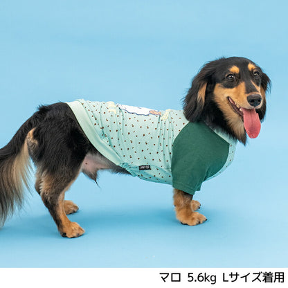 ディーズ君ラグランTシャツ XS/S/M/L/XL/XXL/DXS/DS/DM/DL/FBS/FBM/FBL D's Chat-ディーズチャット- 犬服 小型犬 ダックス フレブル ドッグウェア DS26SS ds261307