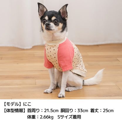 ディーズ君ラグランTシャツ XS/S/M/L/XL/XXL/DXS/DS/DM/DL/FBS/FBM/FBL D's Chat-ディーズチャット- 犬服 小型犬 ダックス フレブル ドッグウェア DS26SS ds261307