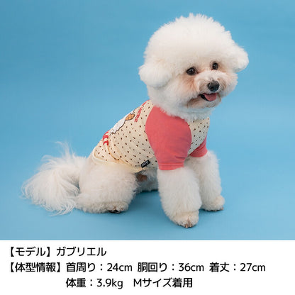 ディーズ君ラグランTシャツ XS/S/M/L/XL/XXL/DXS/DS/DM/DL/FBS/FBM/FBL D's Chat-ディーズチャット- 犬服 小型犬 ダックス フレブル ドッグウェア DS26SS ds261307