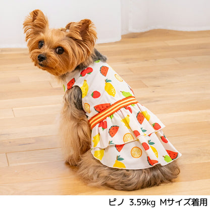 ストレッチフルーツワンピ XS/S/M/L/XL/XXL D's Chat-ディーズチャット- 犬服 小型犬 ドッグウェア DS26SS ds261310