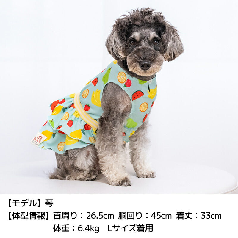 ストレッチフルーツワンピ XS/S/M/L/XL/XXL D's Chat-ディーズチャット- 犬服 小型犬 ドッグウェア DS26SS ds261310