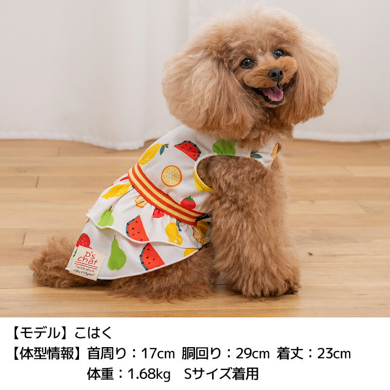 ストレッチフルーツワンピ XS/S/M/L/XL/XXL D's Chat-ディーズチャット- 犬服 小型犬 ドッグウェア DS26SS ds261310