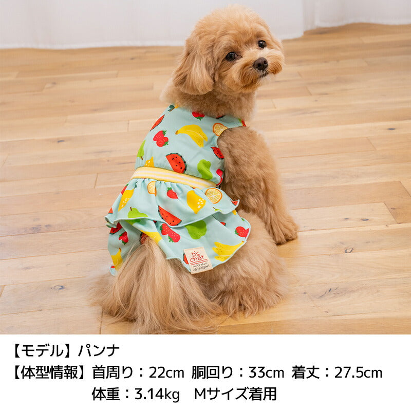 ストレッチフルーツワンピ XS/S/M/L/XL/XXL D's Chat-ディーズチャット- 犬服 小型犬 ドッグウェア DS26SS ds261310