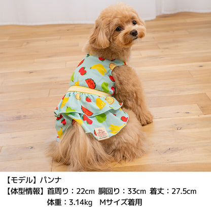 ストレッチフルーツワンピ XS/S/M/L/XL/XXL D's Chat-ディーズチャット- 犬服 小型犬 ドッグウェア DS26SS ds261310