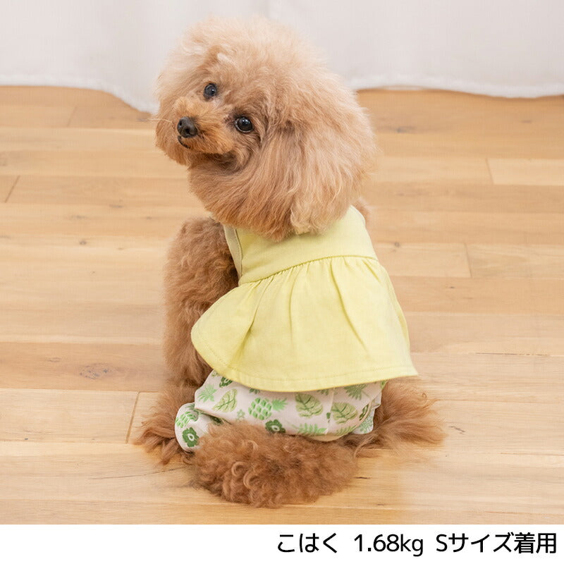 ボタニカルスカートパンツ XS/S/M/L/XL/XXL D's Chat-ディーズチャット