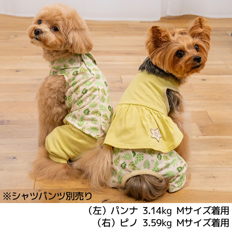 ボタニカルスカートパンツ XS/S/M/L/XL/XXL D's Chat-ディーズチャット