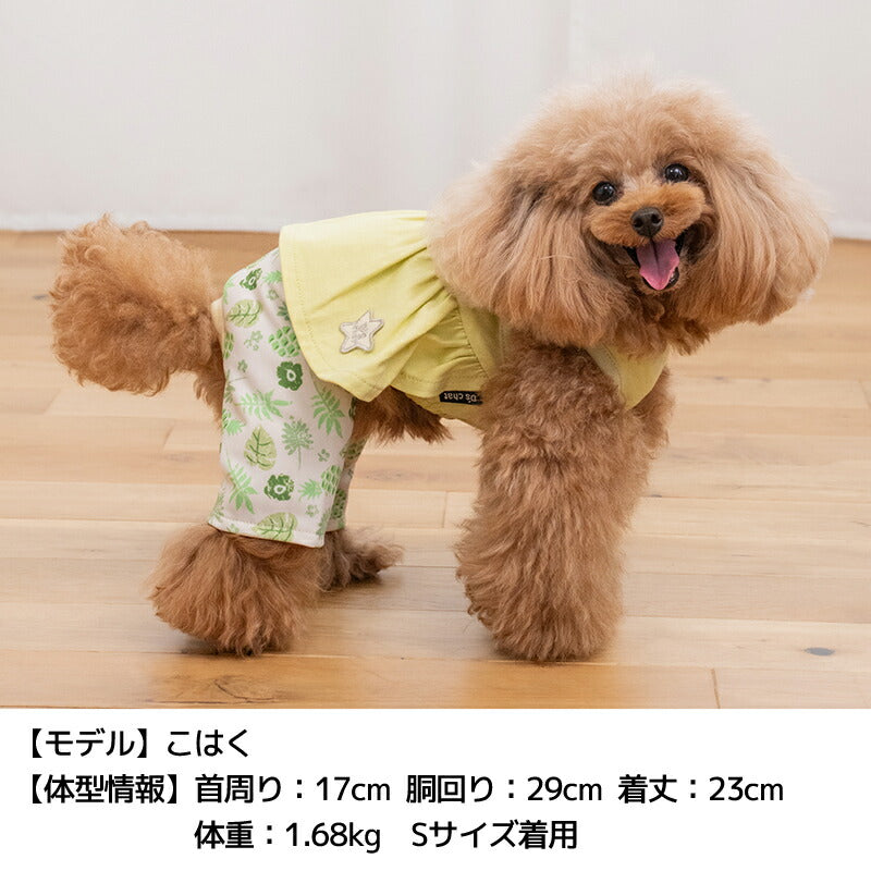 ボタニカルスカートパンツ XS/S/M/L/XL/XXL D's Chat-ディーズチャット
