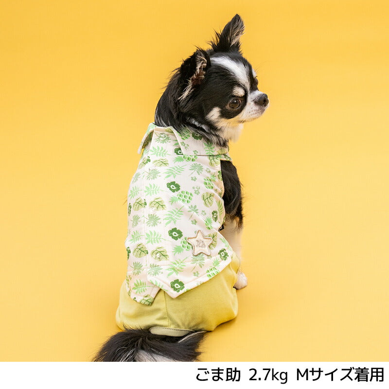 ボタニカルシャツパンツ XS/S/M/L/XL/XXL D's Chat-ディーズチャット- 犬服 小型犬 ドッグウェア DS26SS ds261312