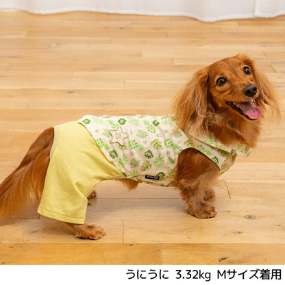 ボタニカルシャツパンツ XS/S/M/L/XL/XXL D's Chat-ディーズチャット- 犬服 小型犬 ドッグウェア DS26SS ds261312