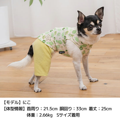 ボタニカルシャツパンツ XS/S/M/L/XL/XXL D's Chat-ディーズチャット- 犬服 小型犬 ドッグウェア DS26SS ds261312
