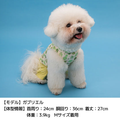 ボタニカルシャツパンツ XS/S/M/L/XL/XXL D's Chat-ディーズチャット- 犬服 小型犬 ドッグウェア DS26SS ds261312