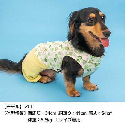 ボタニカルシャツパンツ XS/S/M/L/XL/XXL D's Chat-ディーズチャット- 犬服 小型犬 ドッグウェア DS26SS ds261312