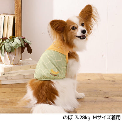 フルーツメッシュタンク XS/S/M/L/XL/XXL/DXS/DS/DM/DL/FBS/FBM/FBL D's Chat-ディーズチャット- 犬服 小型犬 ダックス フレブル ドッグウェア DS26SS ds261316