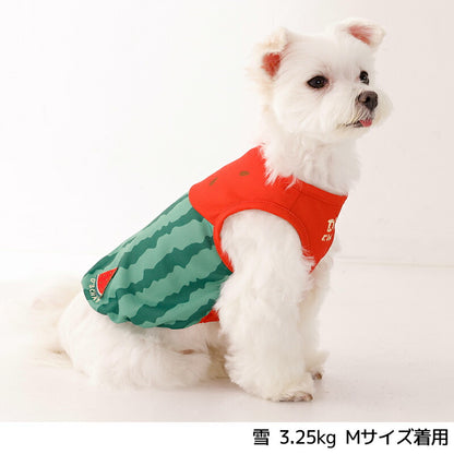フルーツメッシュタンク XS/S/M/L/XL/XXL/DXS/DS/DM/DL/FBS/FBM/FBL D's Chat-ディーズチャット- 犬服 小型犬 ダックス フレブル ドッグウェア DS26SS ds261316