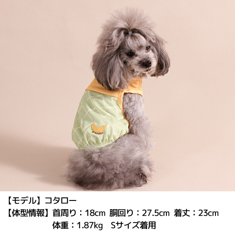 フルーツメッシュタンク XS/S/M/L/XL/XXL/DXS/DS/DM/DL/FBS/FBM/FBL D's Chat-ディーズチャット- 犬服 小型犬 ダックス フレブル ドッグウェア DS26SS ds261316