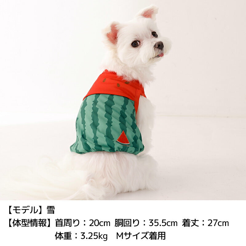 フルーツメッシュタンク XS/S/M/L/XL/XXL/DXS/DS/DM/DL/FBS/FBM/FBL D's Chat-ディーズチャット- 犬服 小型犬 ダックス フレブル ドッグウェア DS26SS ds261316